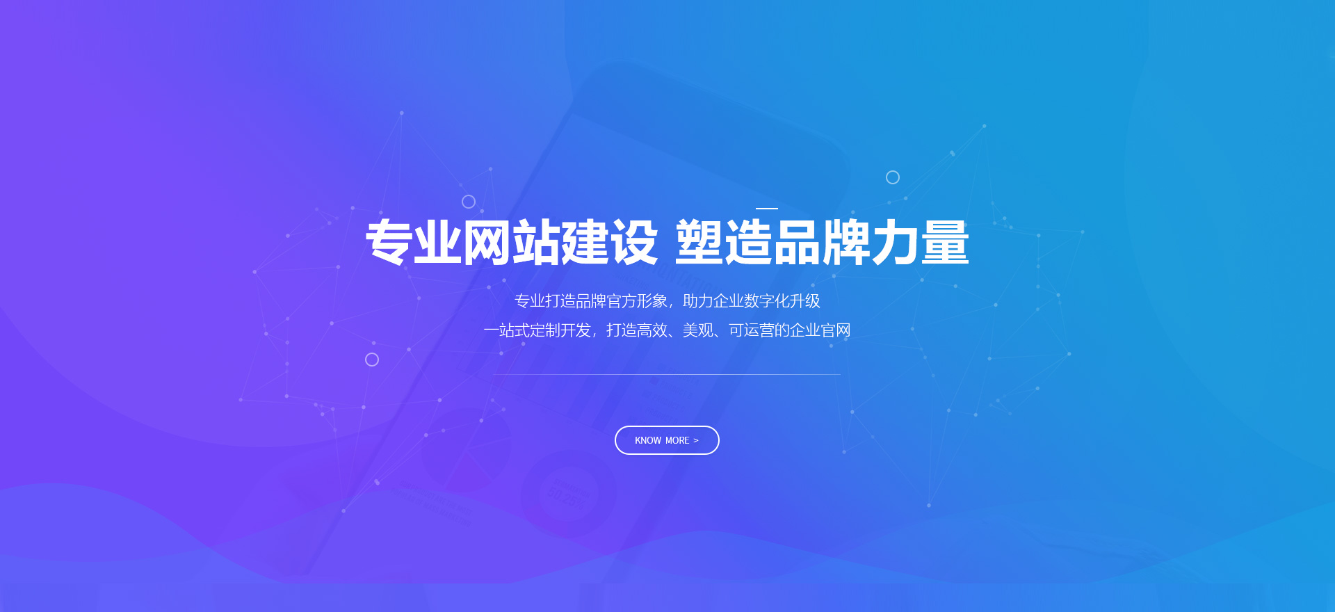 三沙建站-专业网站建设 塑造品牌力量