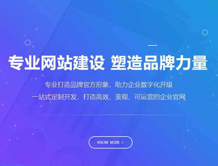 三沙建站-专业网站建设 塑造品牌力量